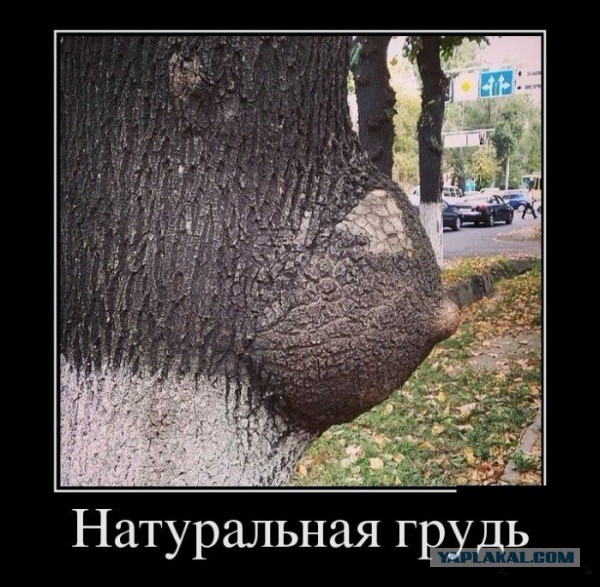 Картинки на пятницу