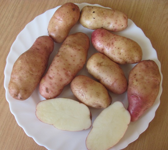 Кулинария. Вопросы и ответы, ...