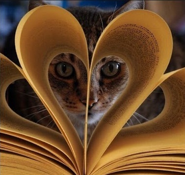Когда кота тянет к знаниям.