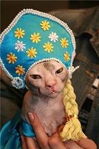 Три поросенка и НГ