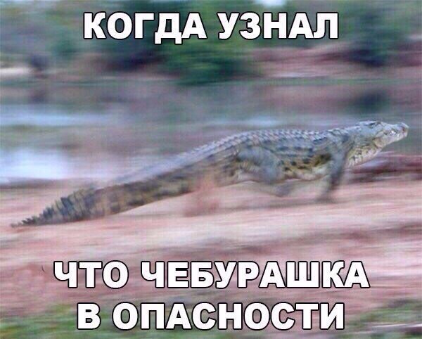 Обколются своей марихуаной