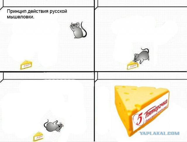 Порция картинок