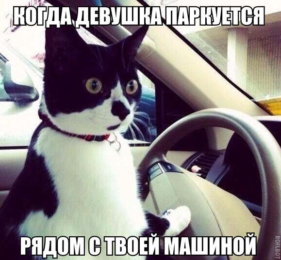 Картинки смешные и не очень
