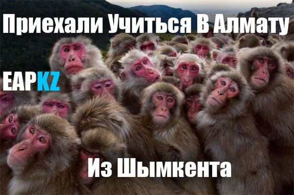 Коротко обо всех