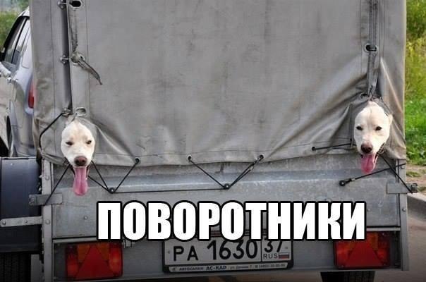 Картинки с надписями на разные темы - 2
