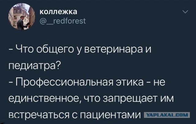 Смешные комментарии из социальных сетей 13.04.2018