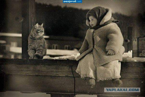 Котовторник ждали? А вот и он!