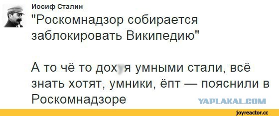 Роскомнадзор заблокировал IP-адрес ЯПлакалъ