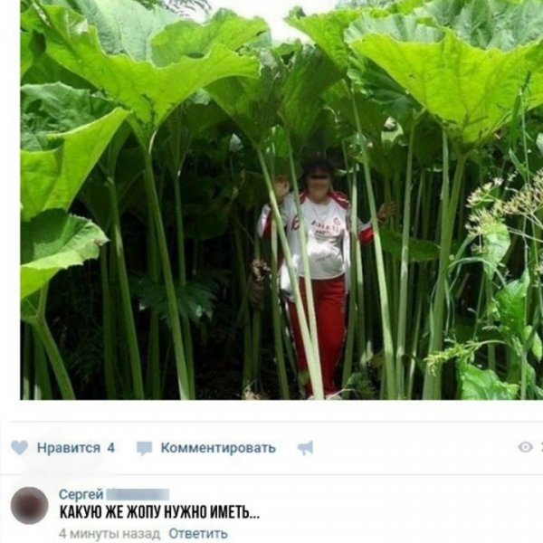 Подборка интересных и веселых картинок