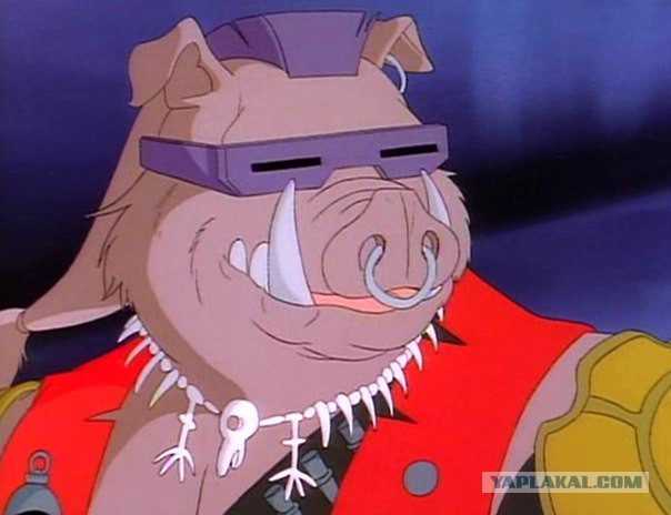 «Злая шутка природы» - эксперт о жутком создании из Приморья