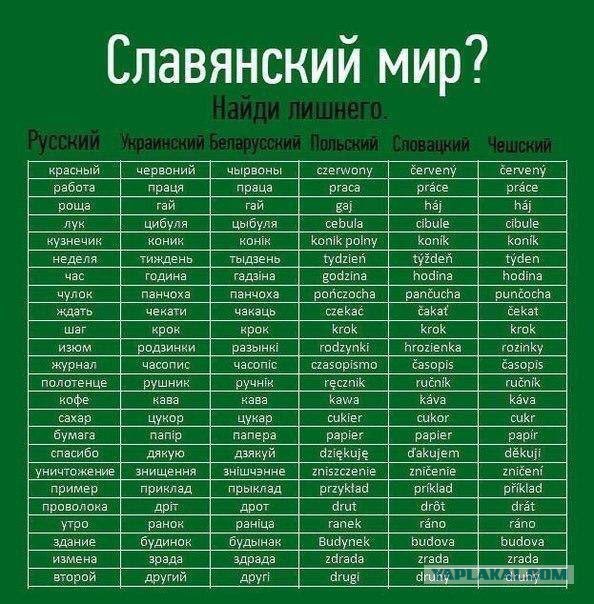 На каком языке украинцы говорят на самом деле?