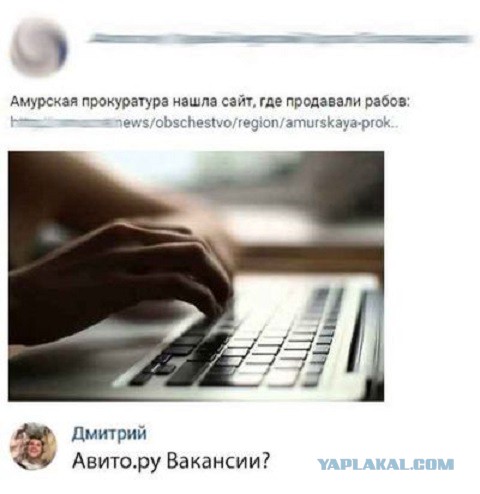 Прикольные комментарии и высказывания из Сети 21.11.2018