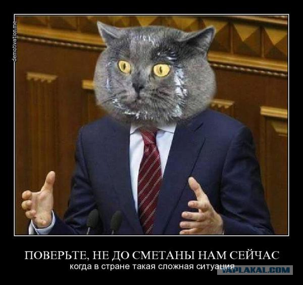 Если я не ошибаюсь, оно открывается как-то так...
