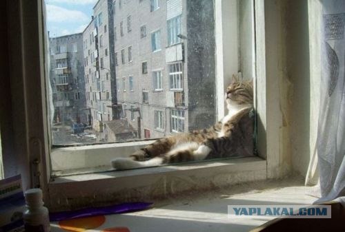 Стой! Не уходи!