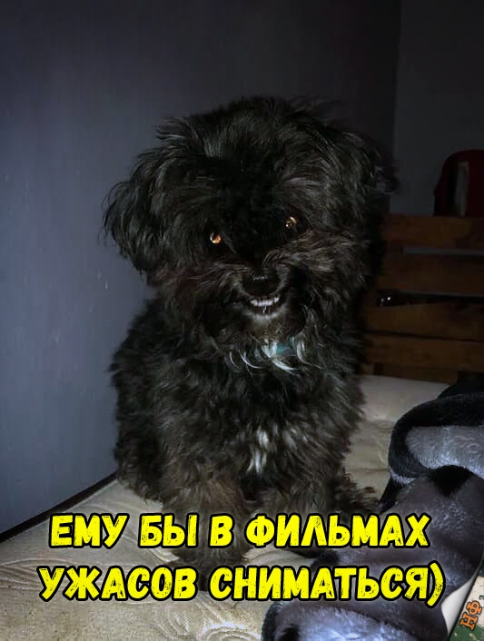 Прикольные картинки абавсём