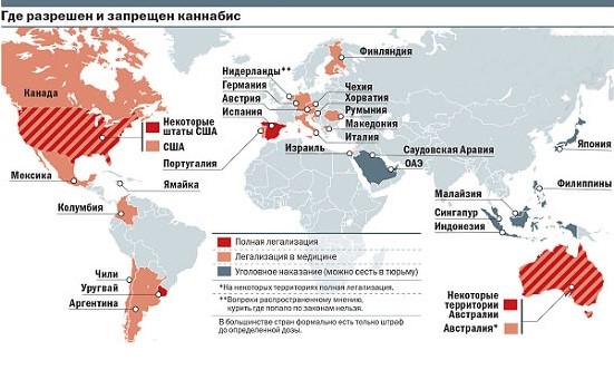 К чему привёл легалайз в Уругвае: Про бабулю и марихуану