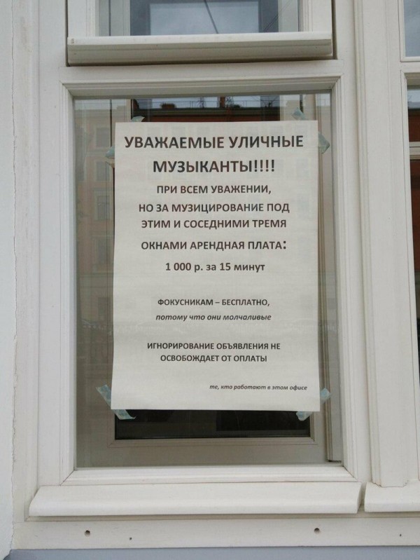 Перлы 12.08.2019