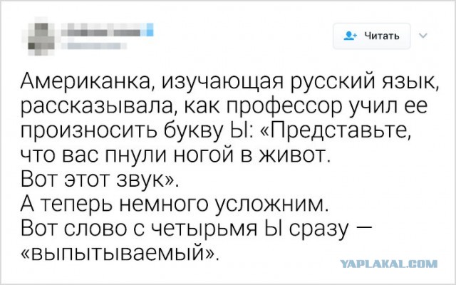 Русский язык может свести с ума даже тех, кто знает его с рождения