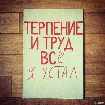 Сбылась мечта