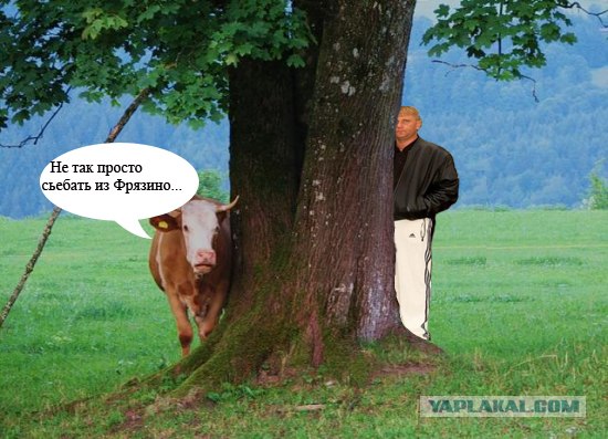 Как ты думаешь, измена скора отпустит?