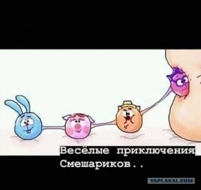«Смешарики» заказали сызранским пекарям Кроша на торте, а потом еще и оштрафовали за это