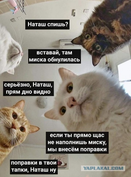 Бредзона 02.09.20