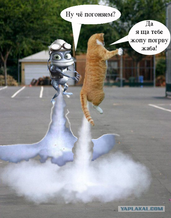 Кот - космонавт