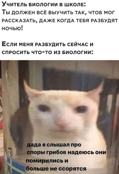 Юмор и прикольные картинки