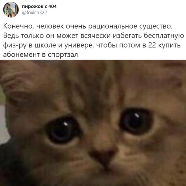 Немного картинок для настроения 05.11.20