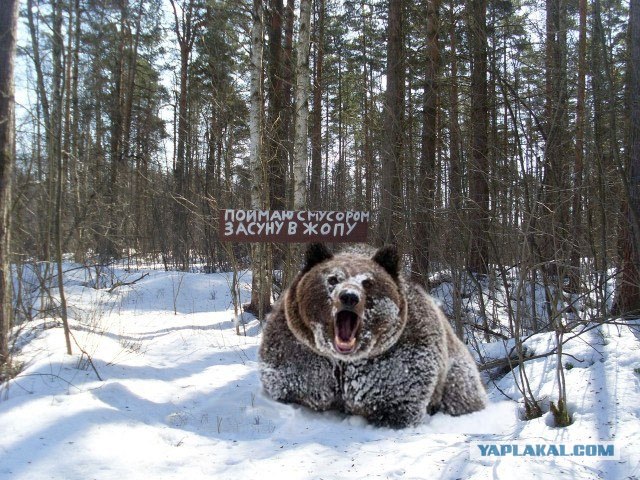 Не надо мусорить