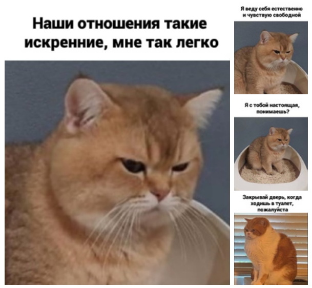 Вечный спор что лучше. Раздельный или совмещённый санузел