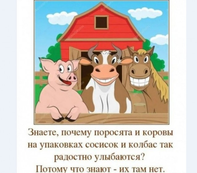 Картинки и мемы для настроения 012