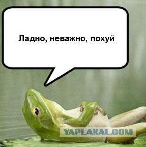 iPhone - облегченная версия