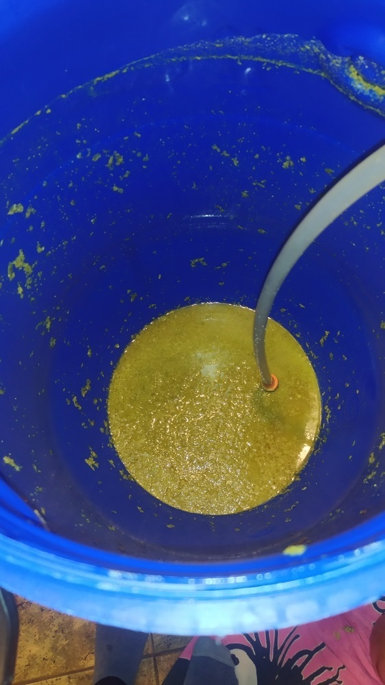 Жизнь и пивоварение