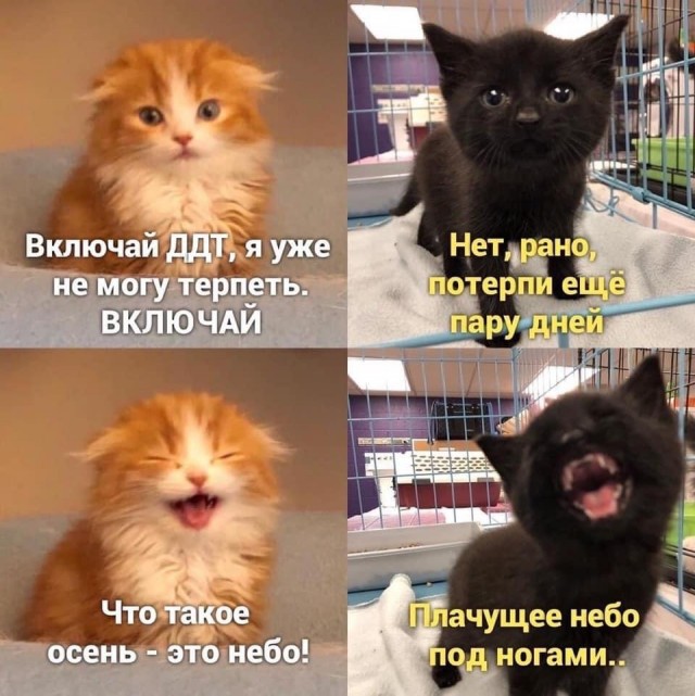Маленькое зло