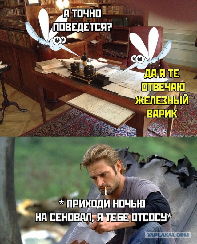 Весёлый полтишок 9.05