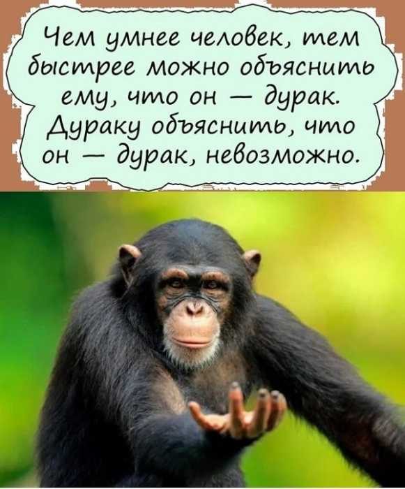 Картинки на вчера