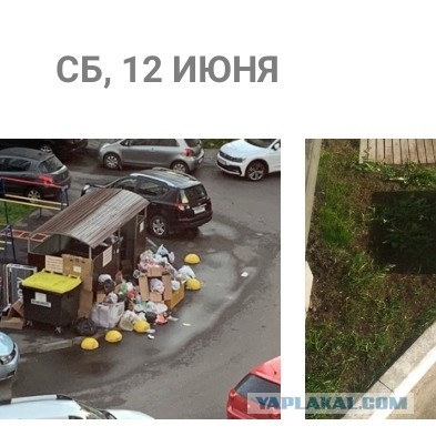 Интересно, подъездные свиньи на объявление среагируют?