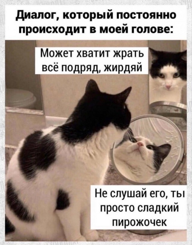 Кретинизмы из сети 09.09.2021