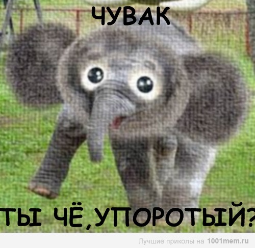 Следуйте за мной