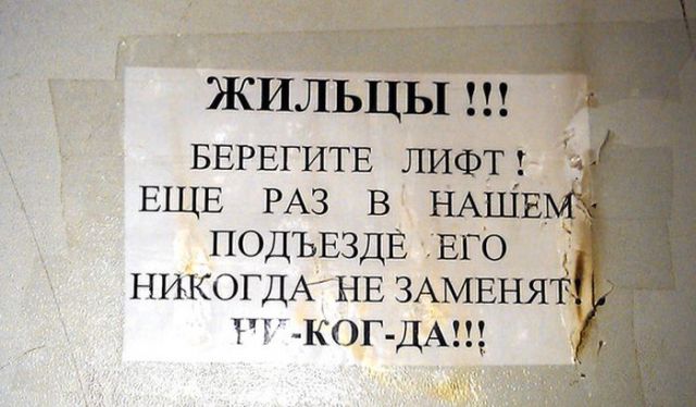 Всяческие картинки 12.01.2022