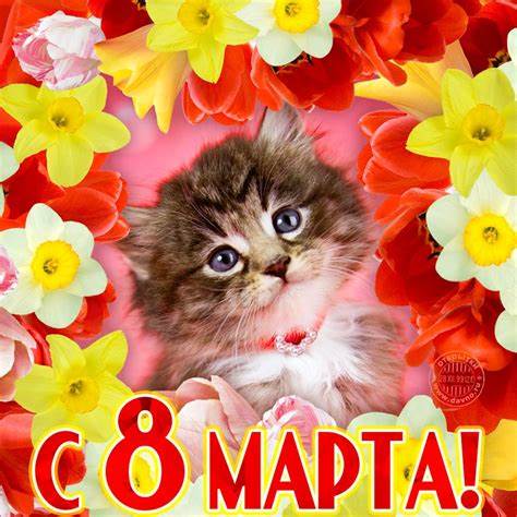 Сплю с мужчиной, который старше на 20 лет, потому что больше не с кем