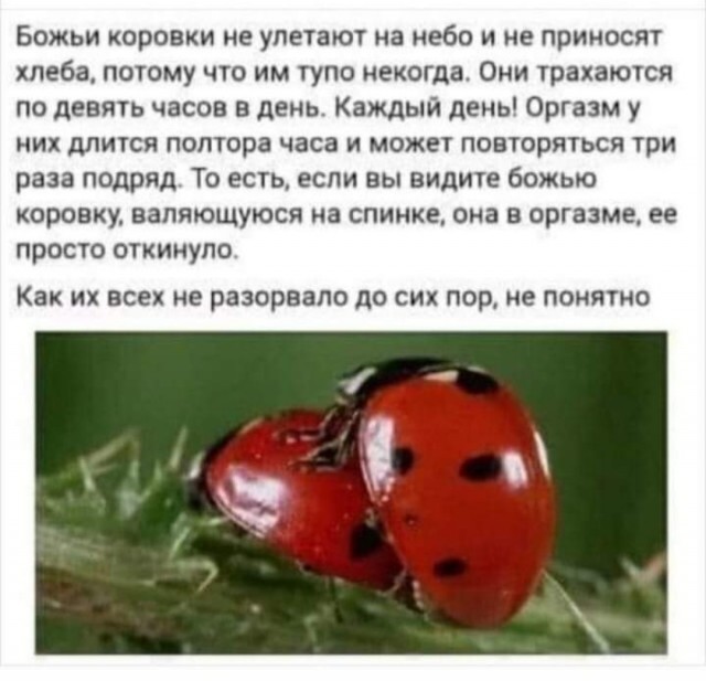 Так себе картинки 13.04.22