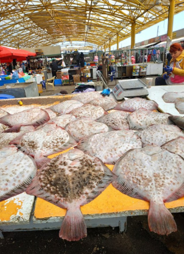 ЯП кругосветка. Этот проект завершился!