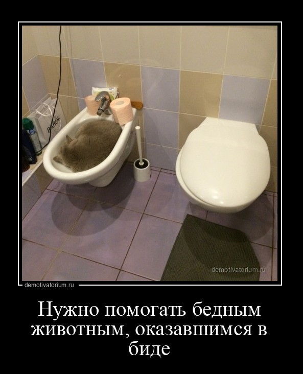 Картинки с надписями 02.07.22