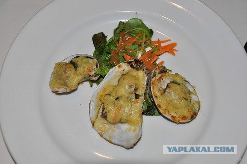 Любовь с первого взгляда