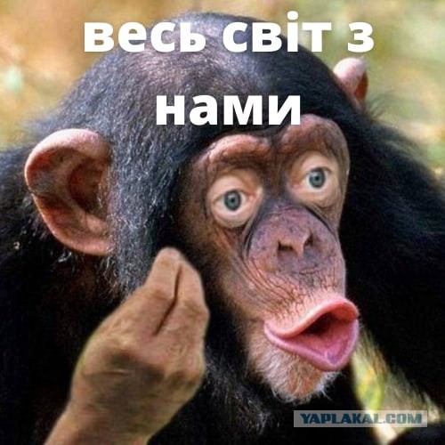 Убывци москалей! Ожидания и реальность!