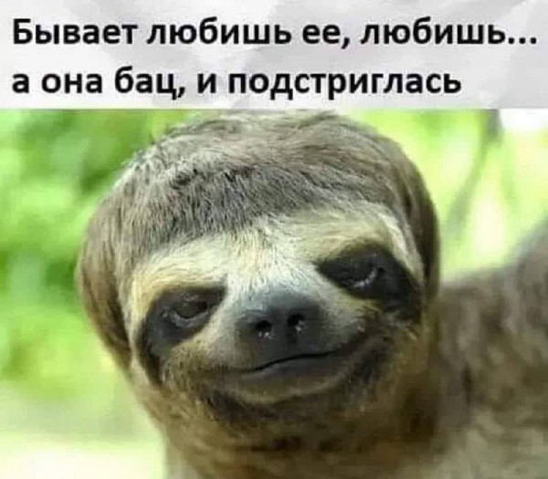 Картинки и мемы, всем хороших выходных