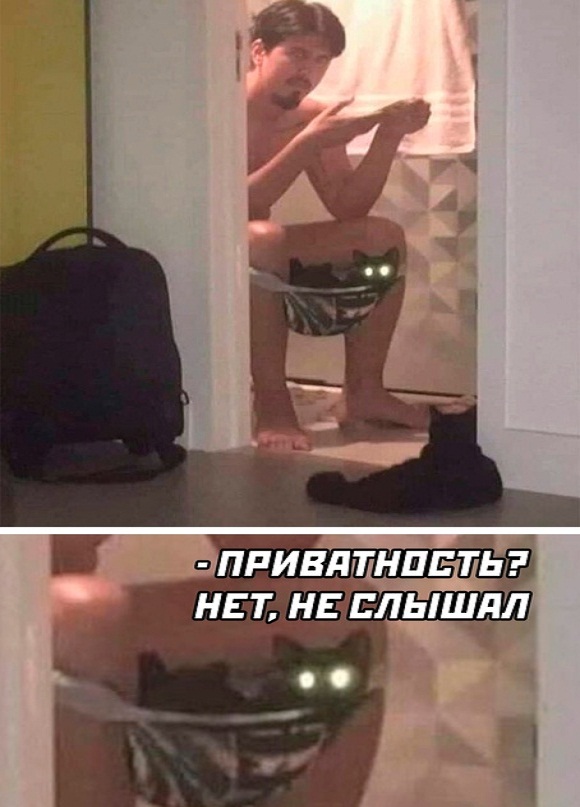 Картинки и мемы, всем хороших выходных