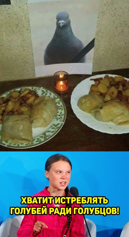 Весёлый полтишок 02.11.22